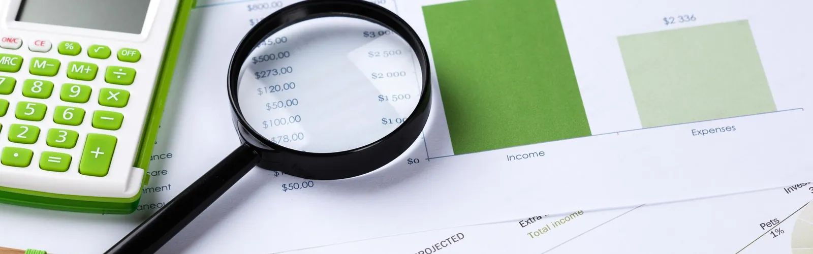 What a Digital Audit is and what you should get